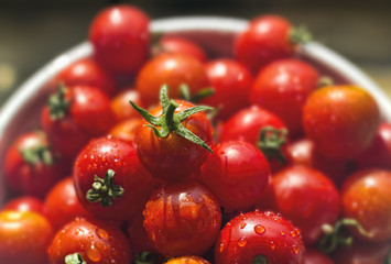 Closeup on Cherry Tomatoes