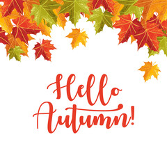 Fototapeta na wymiar Hello Autumn banner with grain shadow style for autumn season