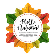 Hello Autumn banner with grain shadow style for autumn season
