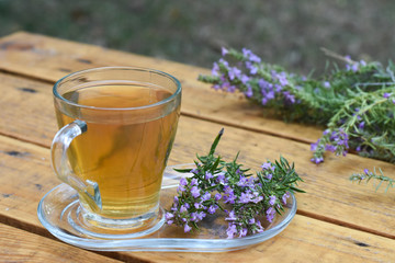 Cup of  fresh natural tea on wooden table.  Thymus serpyllum natural tea, Breckland Thyme  with cup of tea