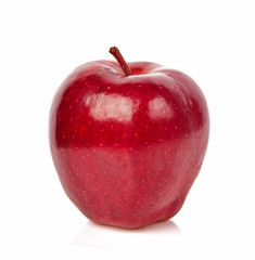 Plakat red apple on white background.