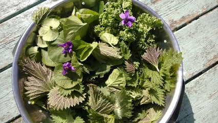 Close up of a metal  colander bowl of nutritious foraged edible organic flowers and plants from the...