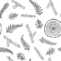 Vector vintage seamless pattern with natural elements isolated on white. Hand drawn forest texture with pine and fern branches, cones and section of the tree. Botanical details sketch.