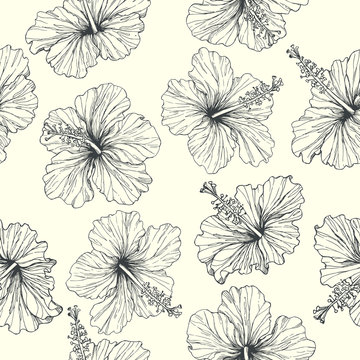 Vector vintage seamless pattern with tropical flowers isolated on white. Blooming hibiscus in engraving style. Hand drawn floral  texture