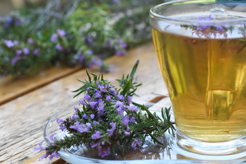 Cup of  fresh natural tea on wooden table.  Thymus serpyllum natural tea, Breckland Thyme  with cup...