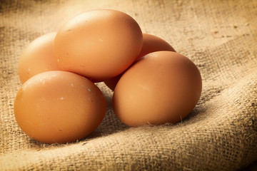 chicken eggs closeup