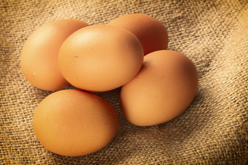 chicken eggs closeup
