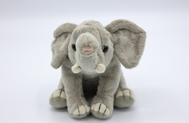 Elefante di peluche isolato su sfondo bianco. Italia