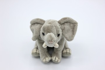 Elephant plush toy isolated on white. Italy