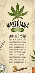 Vertical poster cannabis. Vintage color vector engraving marijuana