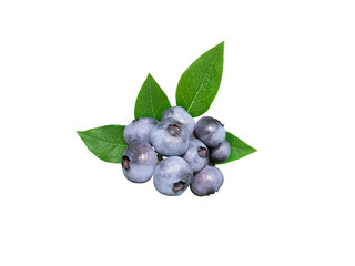 Blueberry ripe purple berries and green leaves