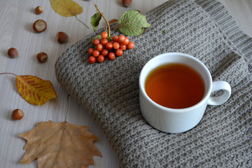 A Cup of hot tea on a wool blanket. Autumn or winter warming drink. Autumn concept