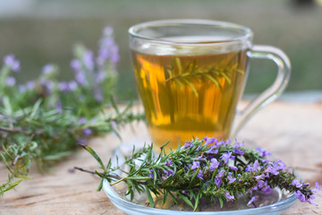 Cup of  fresh natural tea on wooden table.  Thymus serpyllum natural tea, Breckland Thyme  with cup...