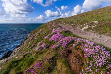 Le sentier des Douaniers