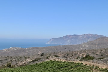 landscape showing vineyard and ocean on Catalina Island California 