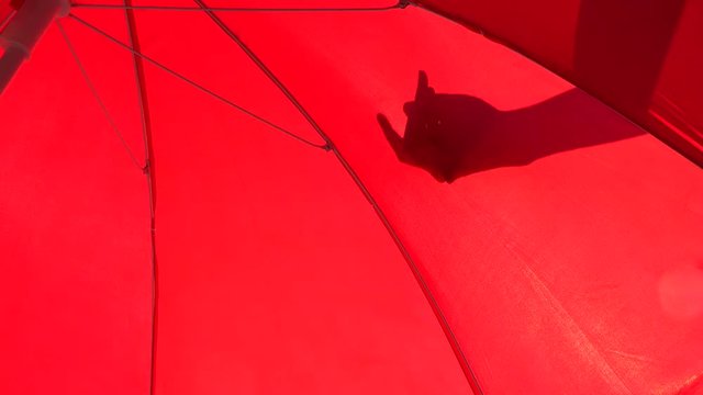 Girl playing with shadows through red umbrella. Creepy scenes.