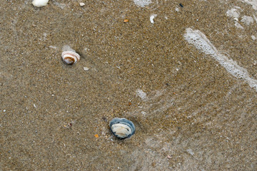 Am Strand in Holland