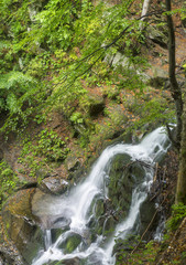 cascade of waterfall under trees in Ukraine