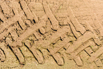 Tractor wheel tracks on wet mud.