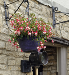 Beautiful Fuchsia hanging basket in the Cotswolds, Wiltshire, England - 217196369