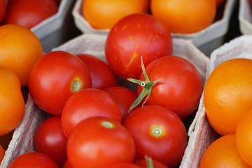 Fototapeta na wymiar Nahaufnahme Tomaten in Schale