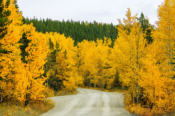 Winding Autumn Foothills