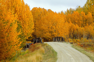 Orange Trail Bridge