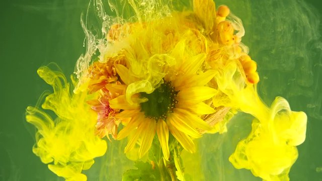 Colorful drops of paint falling on a beautiful bouquet.