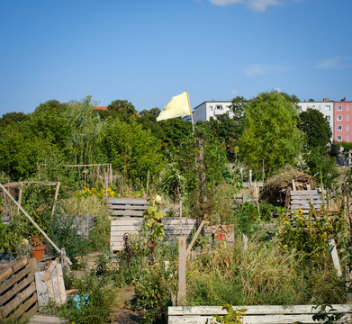 Urban Gardening At Tempelhofer Feld (Flughafen Tempelhof) In Berlin