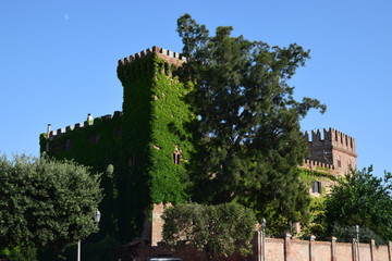 Fototapeta na wymiar Montalto di Castro - castello Guglielmi