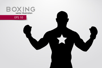 Boxing silhouette. Boxing. Vector illustration