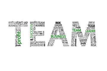 Team Word clouid business concept, isolated on white background