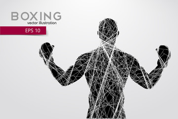 Boxing silhouette. Boxing. Vector illustration