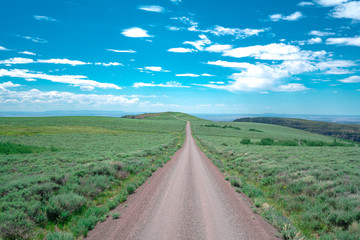 Backcountry Dirt Road