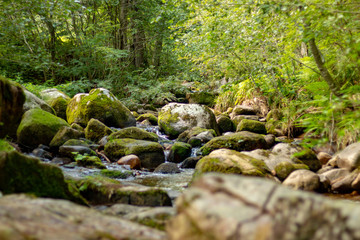 Fototapeta premium MENZENSCHWAND, GERMANY - JULY 23 2018: Waterfall in the German village Menzenschwand on a beautiful sunny summer day