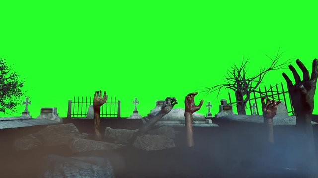 zombie hand sticking out of the ground Halloween   on green background