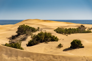 Maspalomas