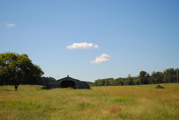 Obraz premium Country Ride 7