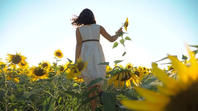 Happy little girl runs happy free across the field with sunflowers. slow motion video. smelling big sunflower on summer field. Delight of a pleasant smell. Summer holiday. concept happiness childhood