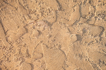 Patterned Texture