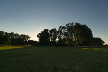 Fototapeta na wymiar Baumgruppe im Gegenlicht im Sonnenuntergang bei ruhiger Idylle