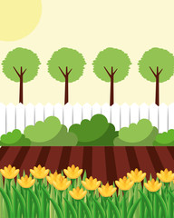 backyard with flowers garden fence and trees vector illustration