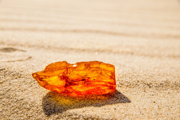 amber on a beach of the Baltic sea
