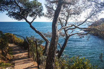 Badebucht an der corniche d'or in Südfrankreich