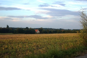 Abend Bielefeld,abendrot, landschaft, himmel, nebel, natur, sonnenaufgang, baum, cloud, sonne, feld, wald, morgen, herbst, winter, gras, sommer, licht, dark, green, blau, bielefeld, 