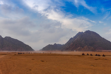 Evening time near mountains at Sinai Desert, Sharm el Sheikh, Sinai Peninsula, Egypt. ATV quad...