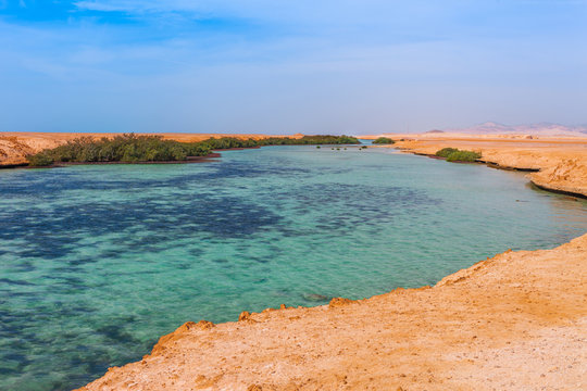 Sea coast and mangroves in the Ras Mohammed National Park. Famous travel destionation in desert. Sharm el Sheikh, Sinai Peninsula, Egypt.