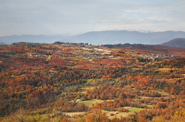 Landscape near Gelati village. Kutaisi district. Imereti Province. Georgia