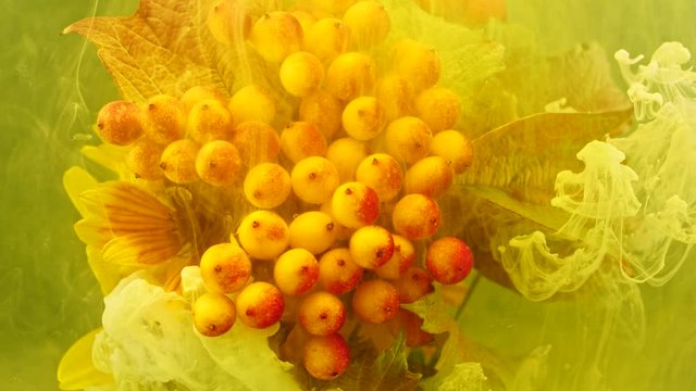 Amazing spreading of paint on beautiful autumn bouquet.