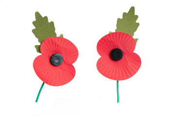 Paper red poppy used to symbolise Remembrance Sunday
